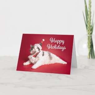 Happy Holidays Cute Cat in Christmas Hat and Scarf Holiday Card