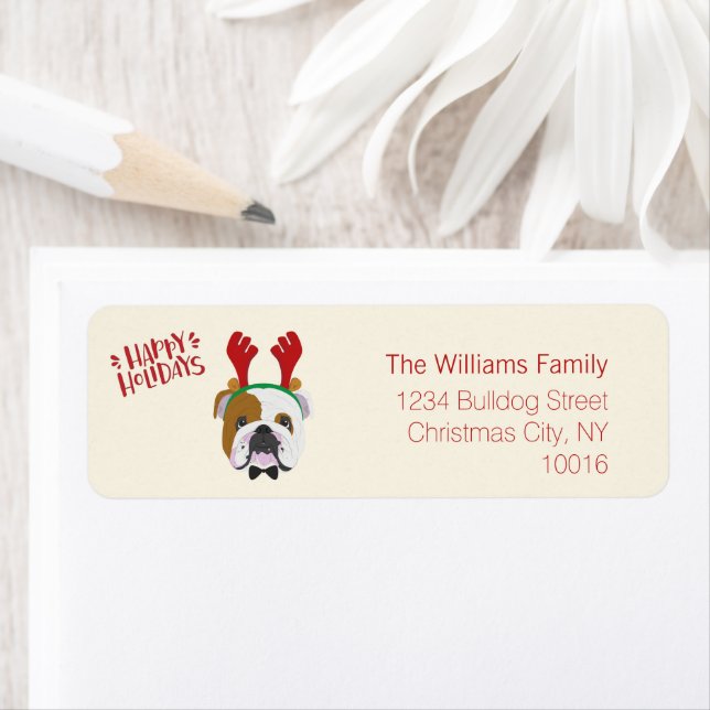 Happy Holidays - Cute English Bulldog - Christmas (Insitu)