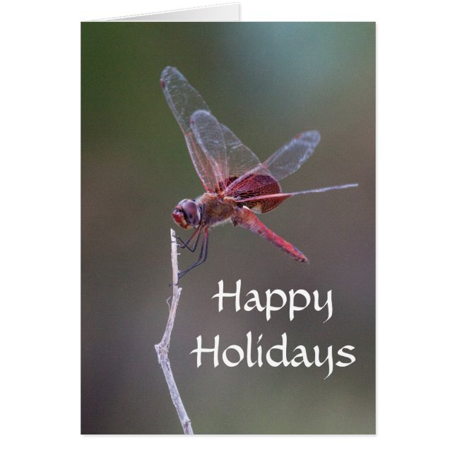 Happy Holidays Dragonfly (Front)
