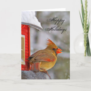 Happy Holidays Female Cardinal Holiday Card