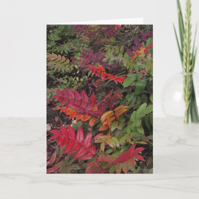 Happy Holidays from the Pacific Northwest Holiday Card (Front)