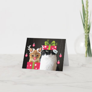 Happy Holidays from Waffles & Katie Holiday Card