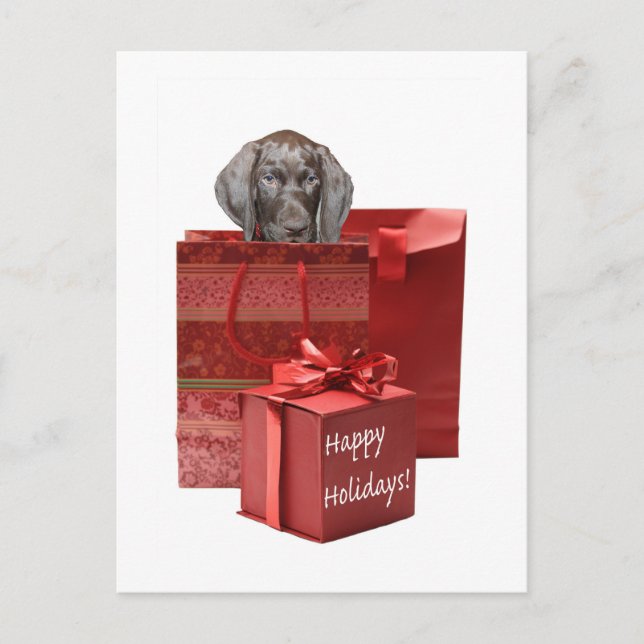 Happy Holidays  german shorthaired pointer Holiday Postcard (Front)