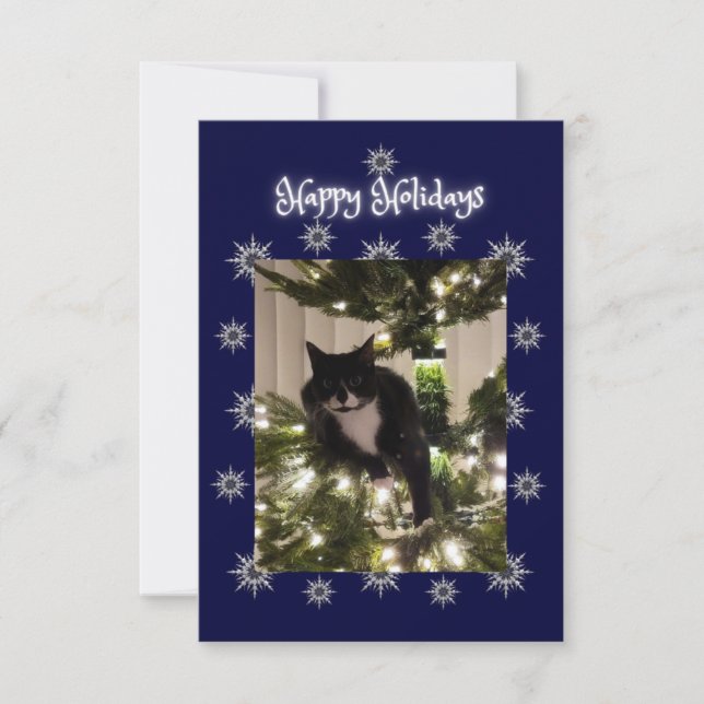 Happy Holidays greeting. Tuxedo cat. (Front)