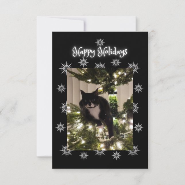 Happy Holidays greeting. Tuxedo cat. (Front)