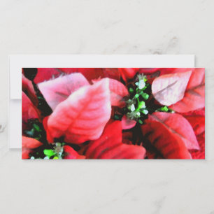 Happy Holidays_ Holiday Card