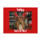 HaPpy HoLiDayS