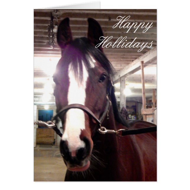 Happy Holidays Horse Cards (Front)