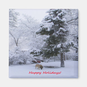 Happy Holidays!... Magnet