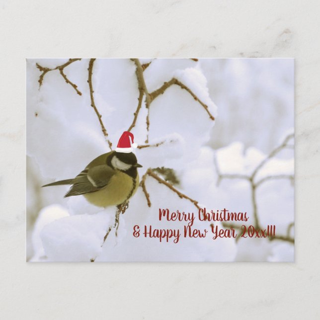 Happy Holidays Postcard (Front)
