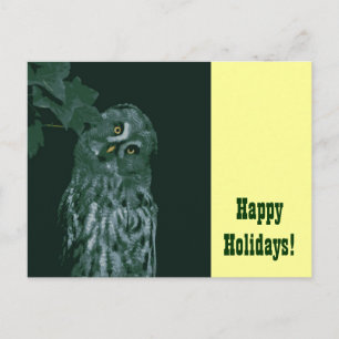 Happy Holidays! Postcard