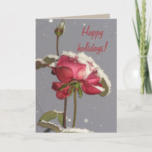 Happy holidays- red rose with snow cover holiday card