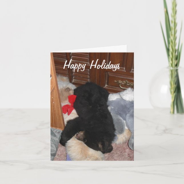 Happy Holidays - Shenandoah Bright Holiday Card (Front)