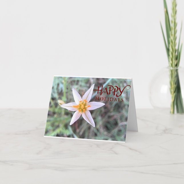 Happy Holidays White Flower Blank Greeting Card (Front)