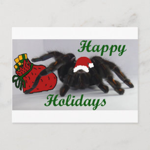 Happy Holidays! ... with a Tarantula? Holiday Postcard