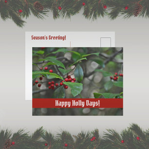 Happy Holly Days Season's Greeting Holiday Postcard