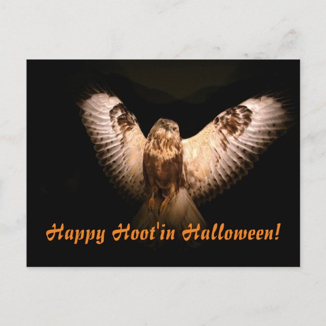 Happy Hoot'in Halloween Postcard (Front)