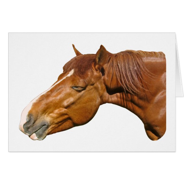 Happy horse (Front Horizontal)