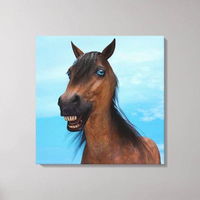Happy Horse Canvas Print (Front)