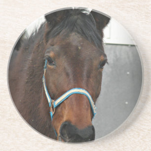 happy horse coaster