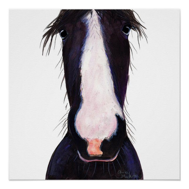 Happy Horse ' JeFF ' by Shirley MacArthur Poster (Front)