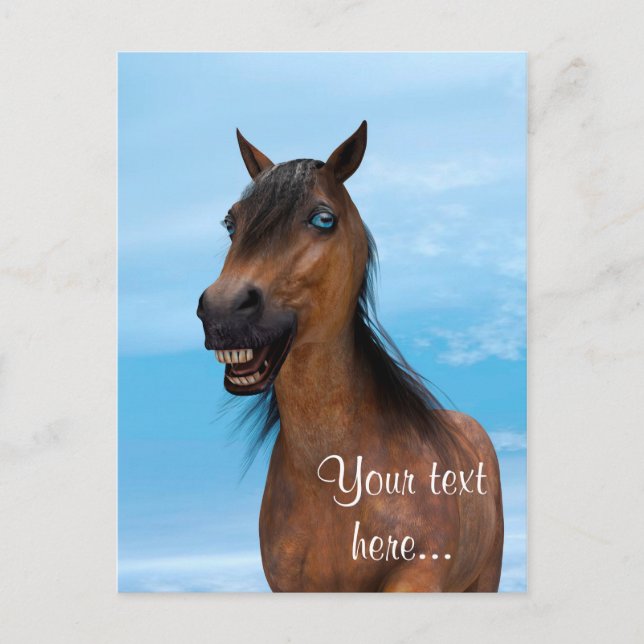 Happy Horse Postcard (Front)