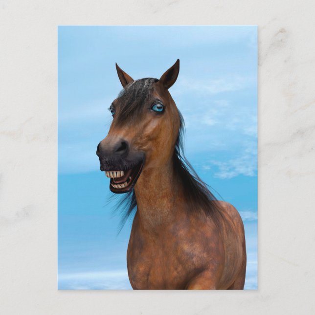 Happy Horse Postcard (Front)