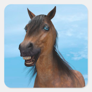 Happy Horse Square Sticker