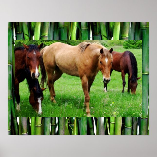 HAPPY HORSES POSTER (Front)
