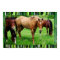 HAPPY HORSES