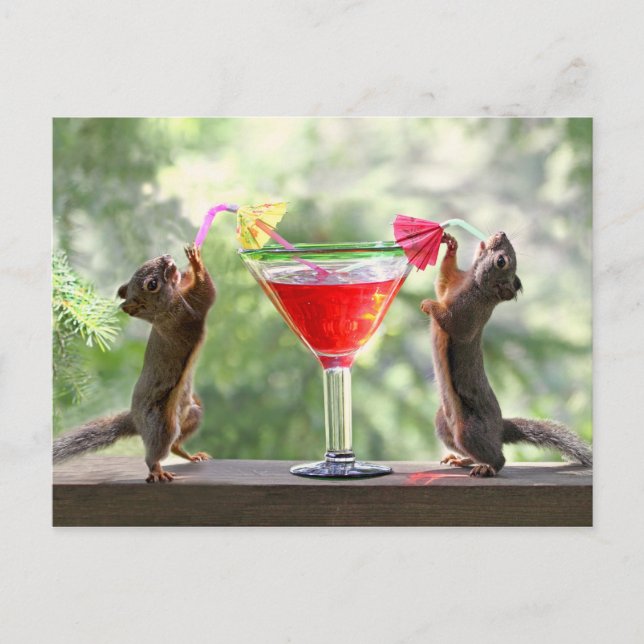 Happy Hour Squirrels Postcard (Front)