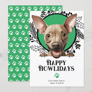 Happy Howlidays American Hairless Dog Christmas Holiday Card