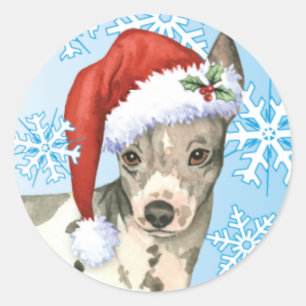 Happy Howlidays American Hairless Terrier Classic Round Sticker
