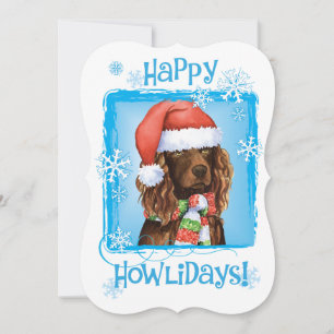 Happy Howlidays Boykin Spaniel Holiday Card