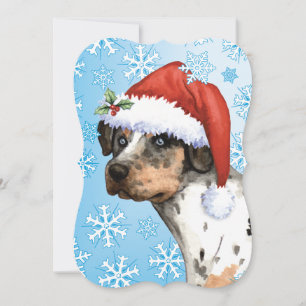 Happy Howlidays Catahoula Holiday Card