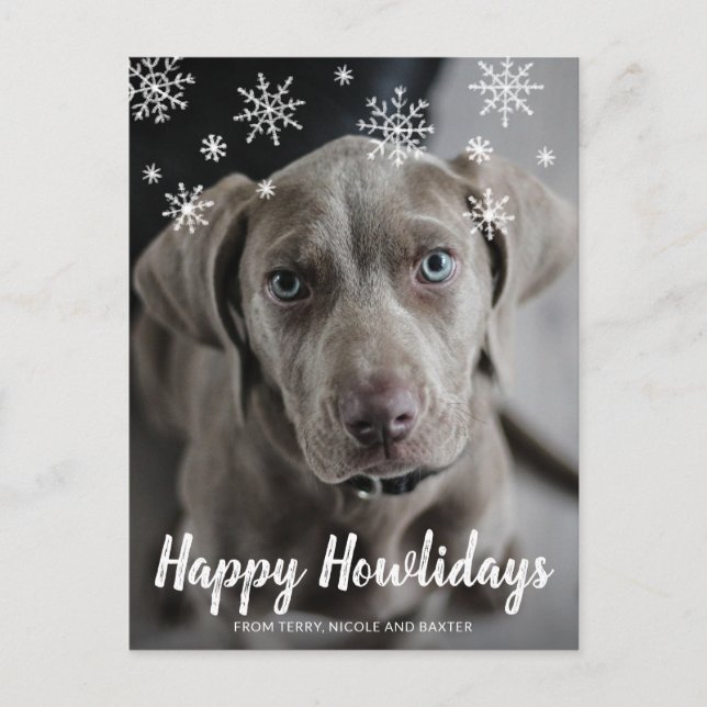 Happy Howlidays Chalk Script Snowflakes Photo Dog Holiday Postcard (Front)