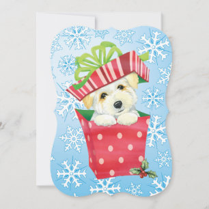 Happy Howlidays Coton Holiday Card