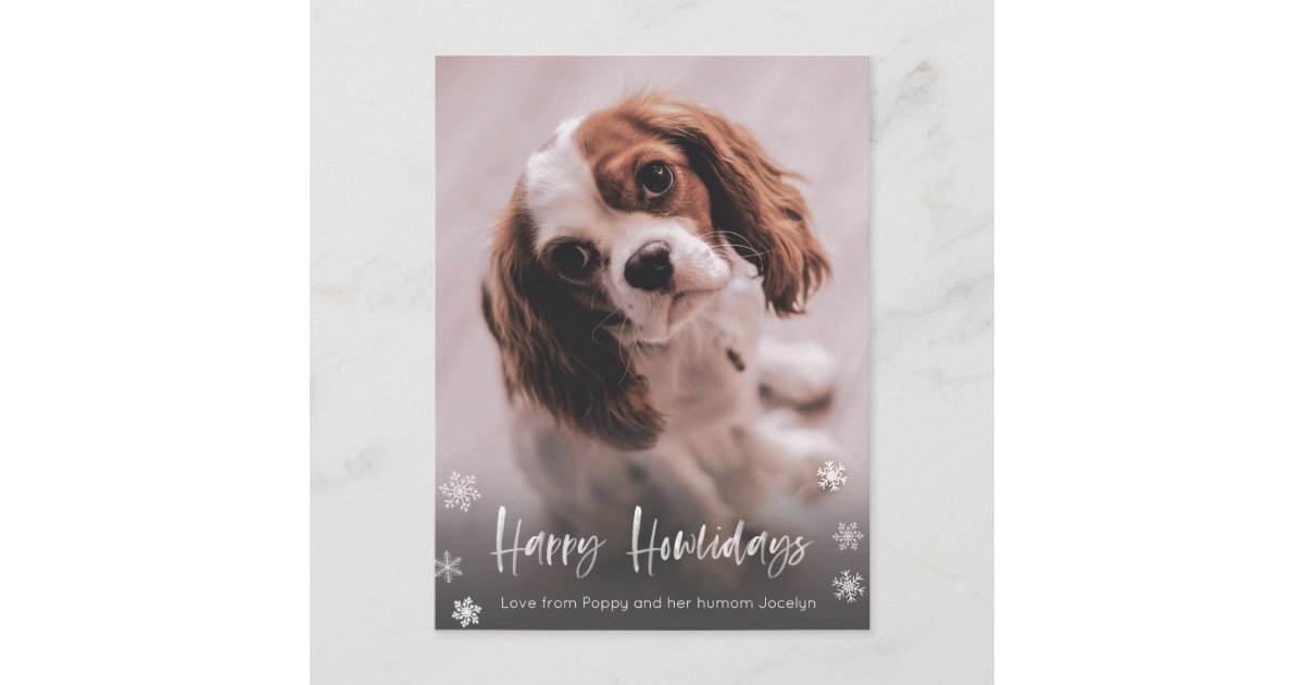 Happy Howlidays Dog Walker Christmas Postcard Zazzle
