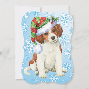 Happy Howlidays Kooikerhondje Holiday Card