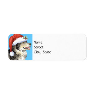 Happy Howlidays Malemute