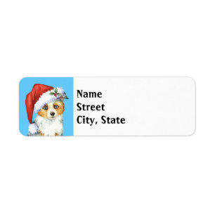 Happy Howlidays Mini American Shepherd