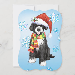 Happy Howlidays PWD Holiday Card