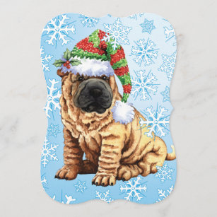 Shar Pei Christmas Card Pack of 6 by Curiosity Crafts