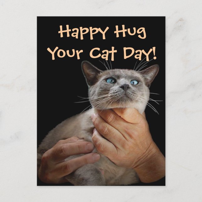 Happy Hug Your Cat Day! Postcard (Front)
