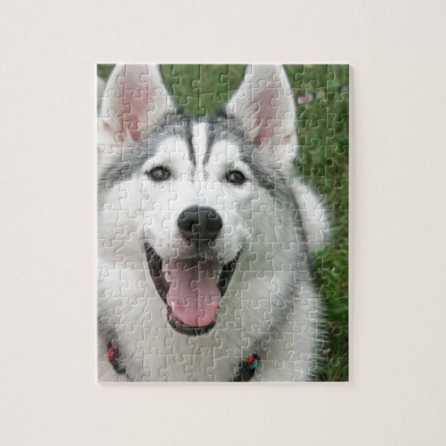 Happy Husky Jigsaw Puzzle (Vertical)