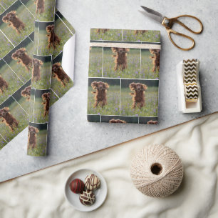 Happy Irish Setter Running With a Stick Wrapping Paper