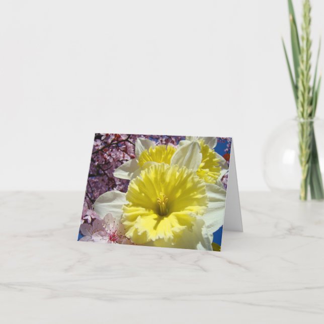 Happy Joyful Cheery Spring Days! Cards Daffodils (Front)