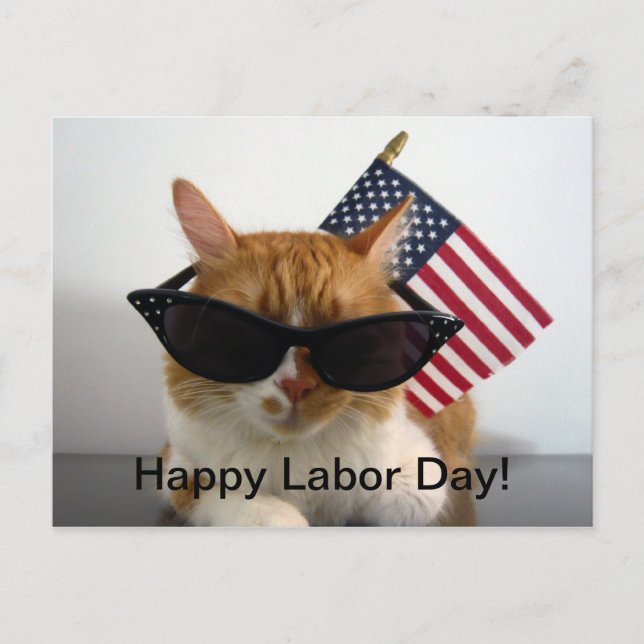 Happy Labour Day Cool Cat with Flag Postcard (Front)