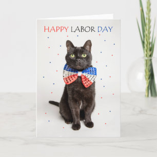 Happy Labour Day Patriotic Cat in Bow Tie Humour  Holiday Card