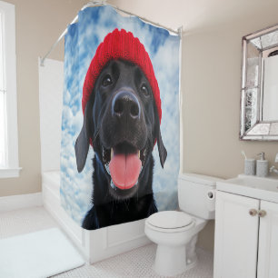 Happy Labrador in a Red Beanie Under a Blue Sky